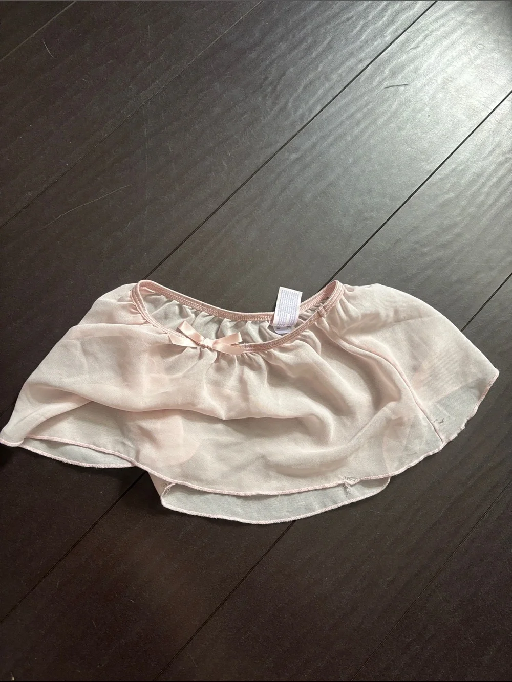 More Than Magic Pale Pink Dance Leotard with Chiffon Trim